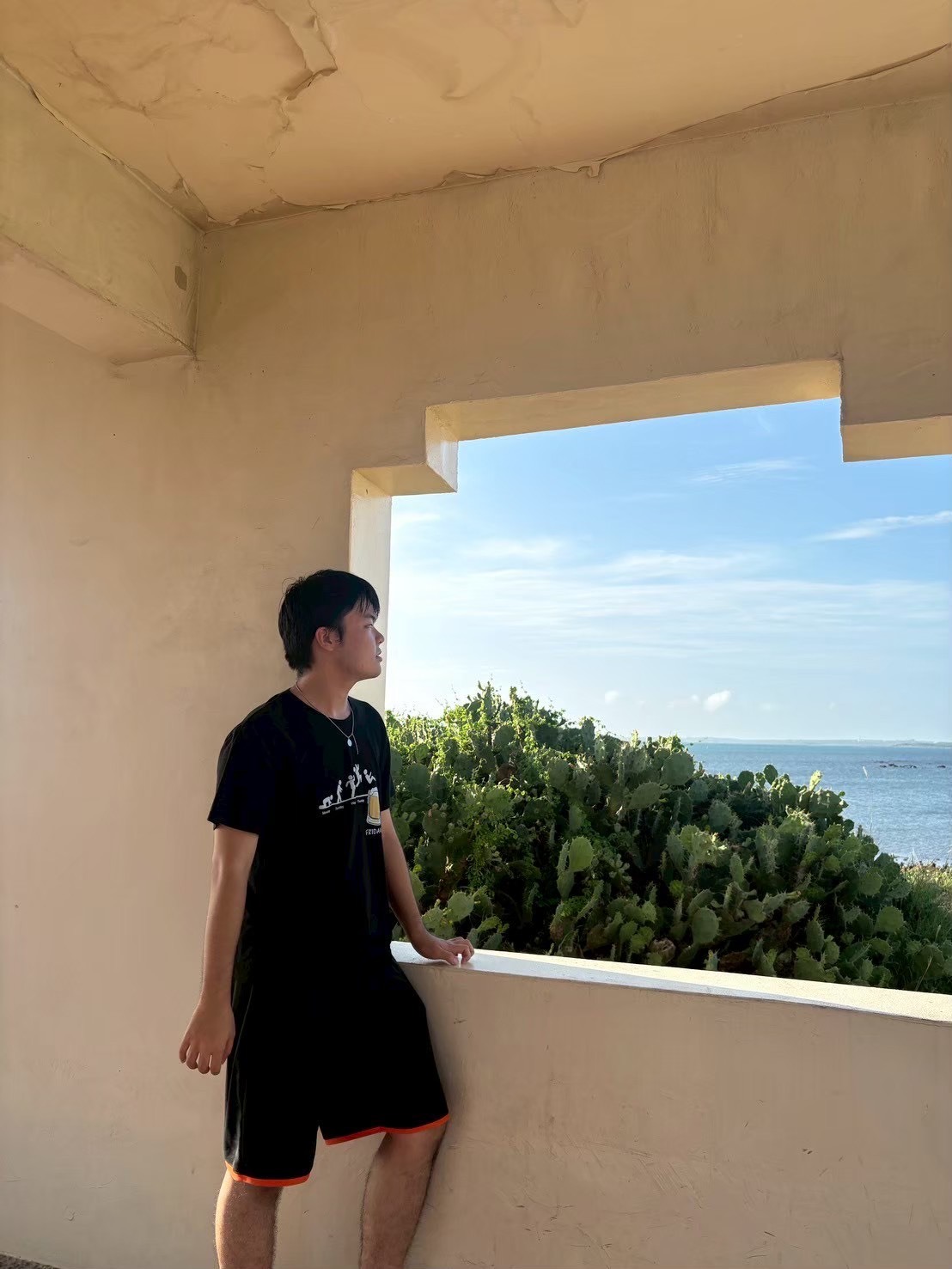 林辰翰